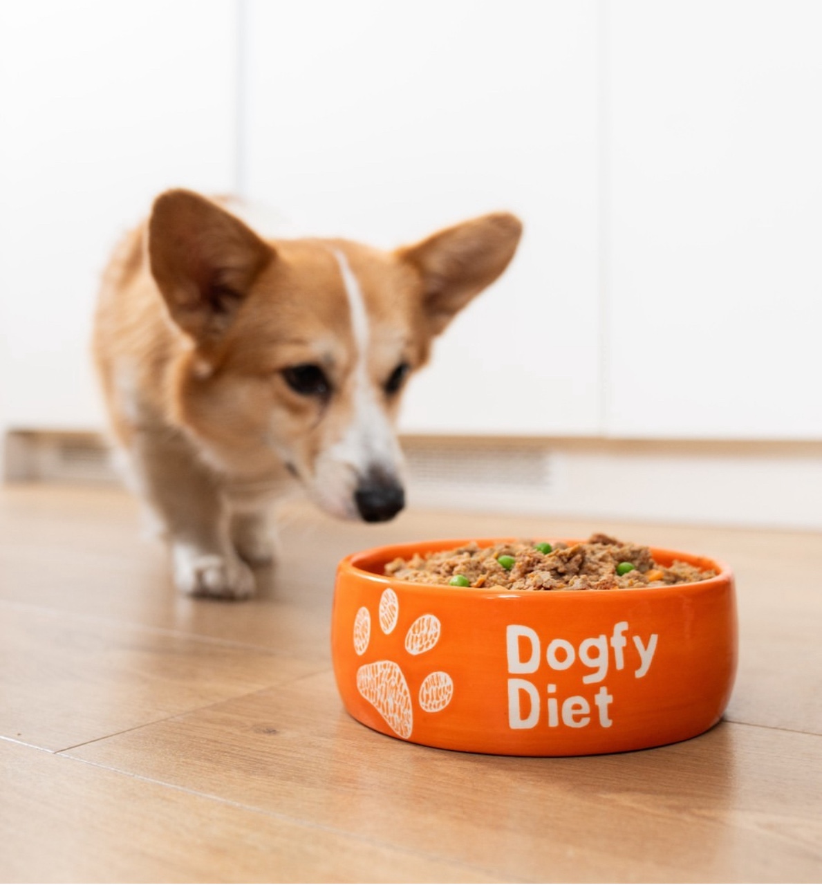 Dogfy Diet Tout Savoir Des Repas Naturels Et Bons Pour Les Chiens 