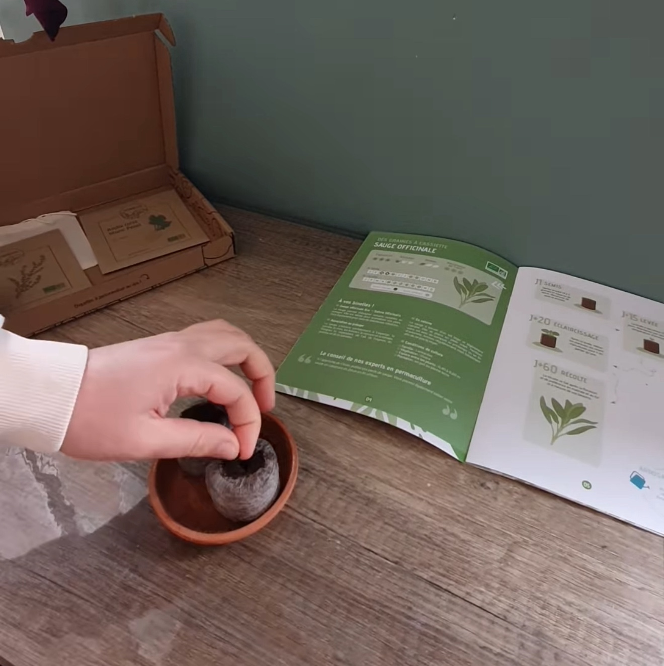 permacool avis de la box de jardinage