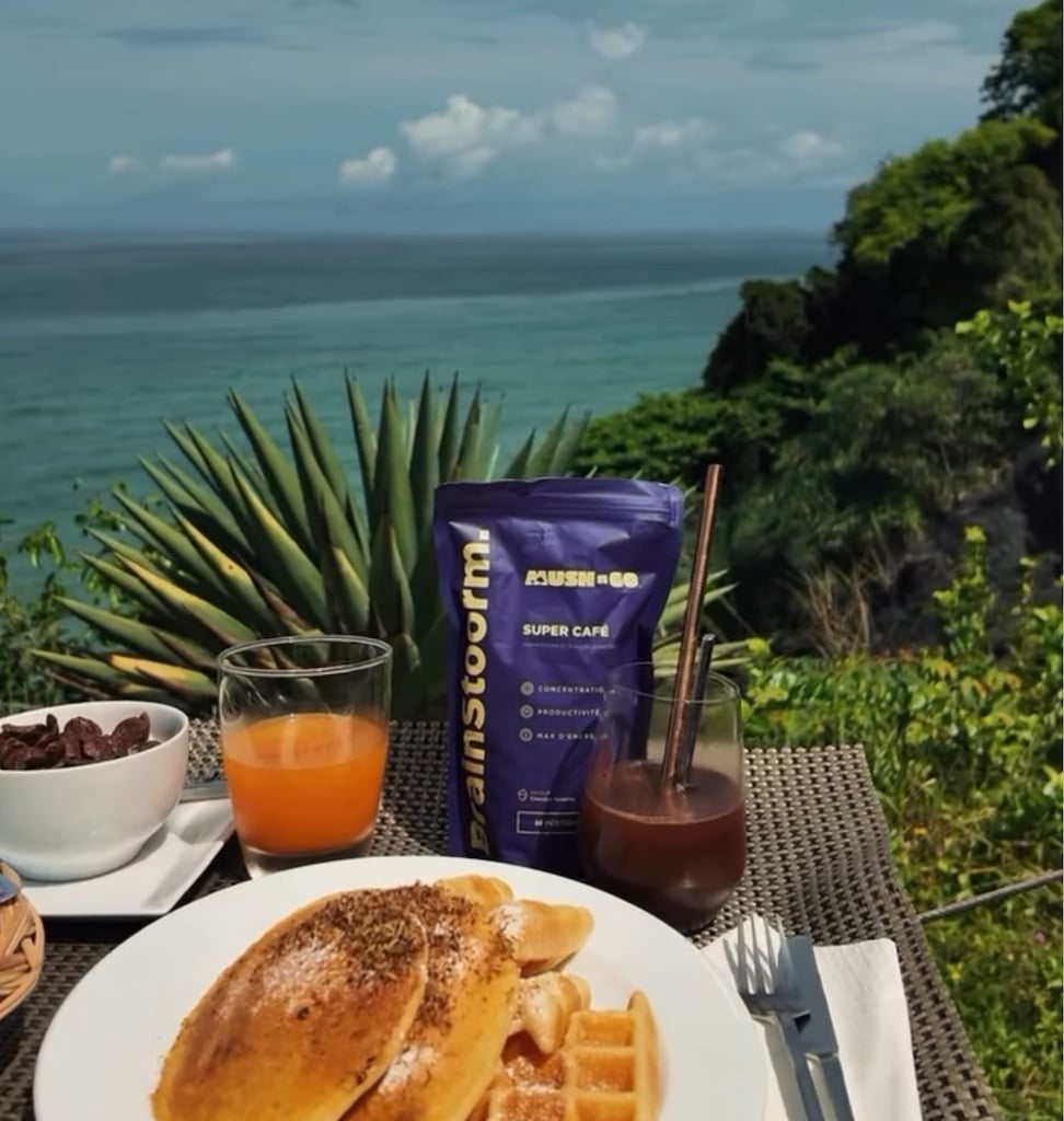 essai mushngo le matin essai mushngo le matin