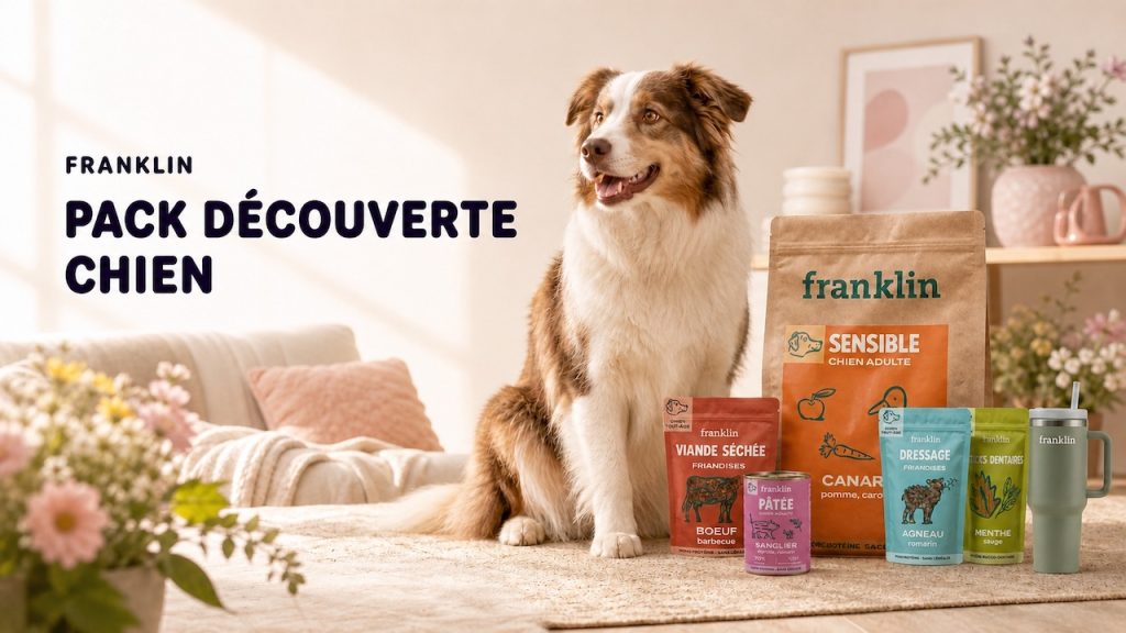 Pack découverte chien Franklin Pet Food : contenu, prix, offre à -40 %