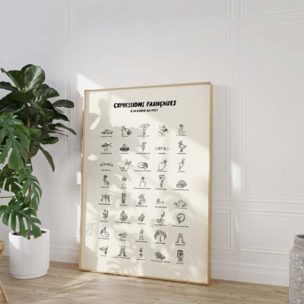 Affiche illustrée des expressions françaises