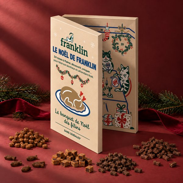 Calendrier de l'Avent pour chat Franklin 2026, boîte illustrée posée parmi les friandises