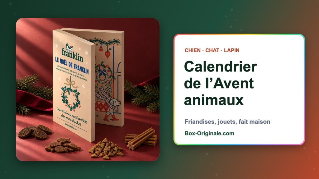 Calendrier de l&rsquo;Avent pour chien, chat et lapin 2026 : notre comparatif des meilleurs
