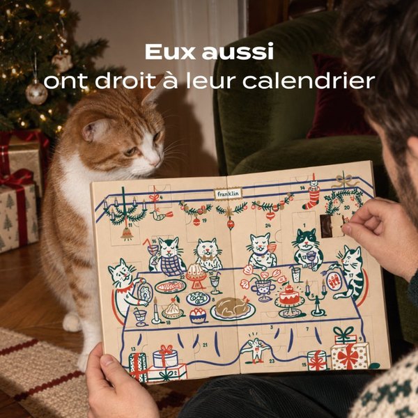 Chat tigré qui renifle le calendrier de l'Avent Franklin pour chat près du sapin
