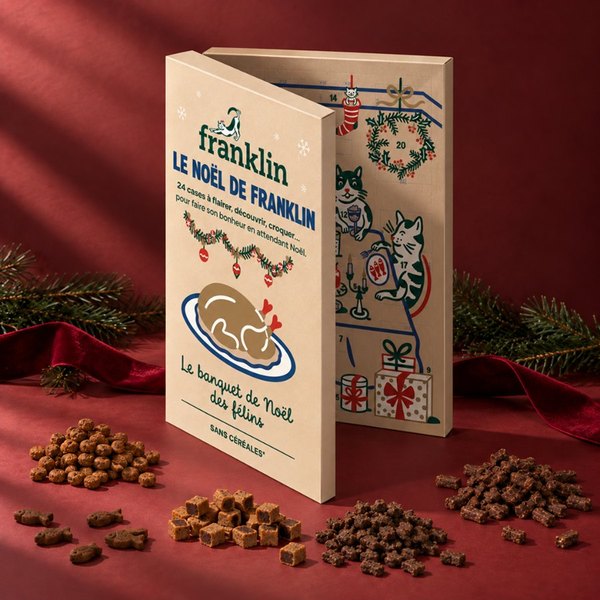 Calendrier de l'Avent Franklin pour chat 2026 entouré de friandises et de mini tubes