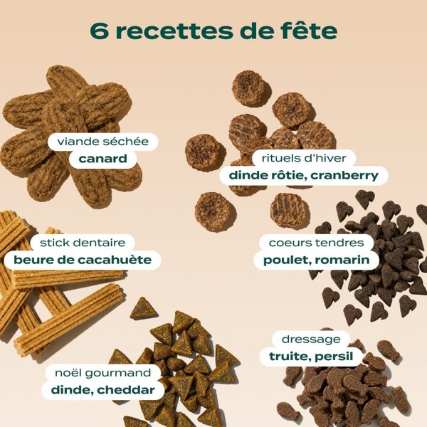 Les 6 recettes de friandises du calendrier de l'Avent Franklin pour chien