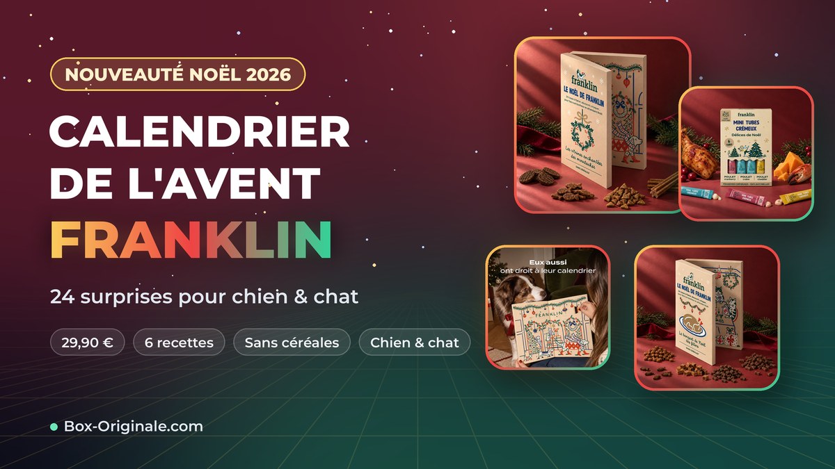 calendrier-avent-franklin-chien-chat