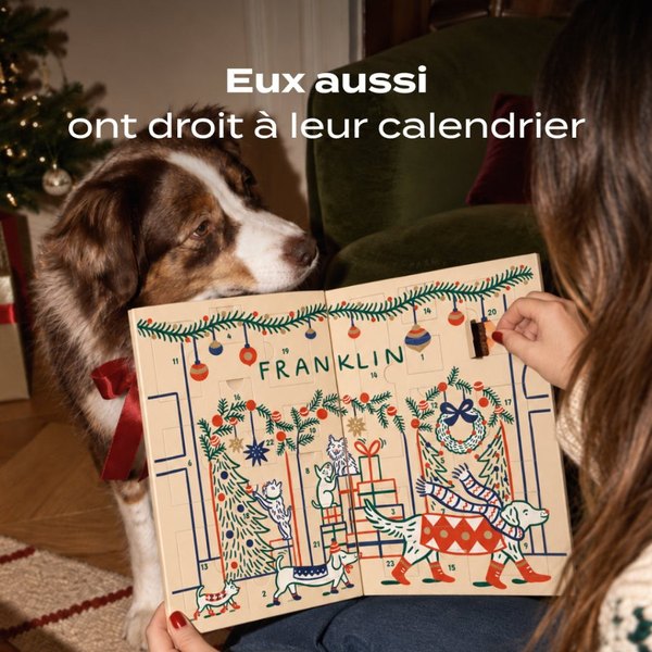 Border collie qui découvre son calendrier de l'Avent Franklin tenu par sa maîtresse près du sapin