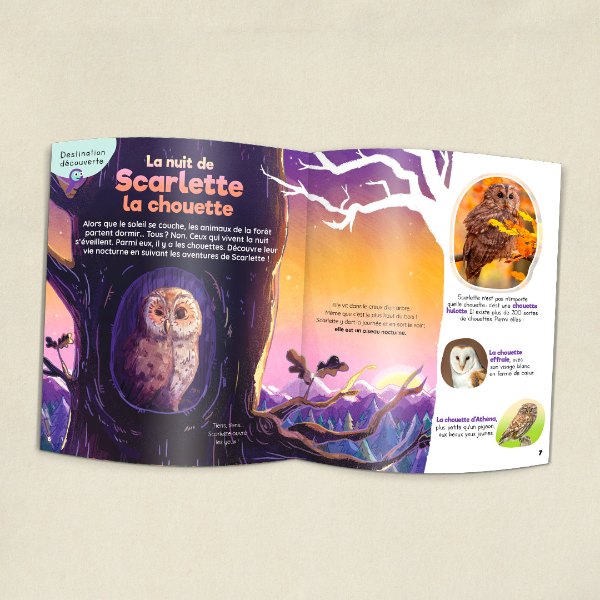 Magazine Pandacraft consacré à la chouette et son activité créative