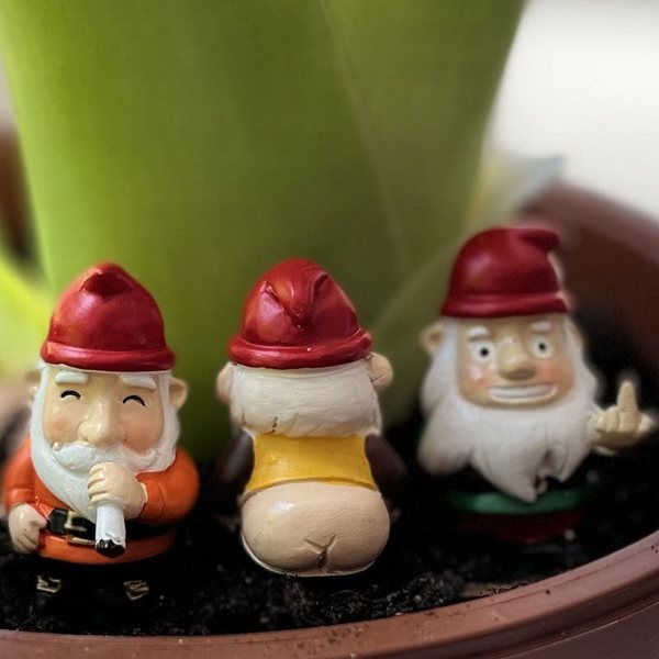 Trois mini gnomes de jardin plantés dans un pot de fleurs, dont un qui montre ses fesses