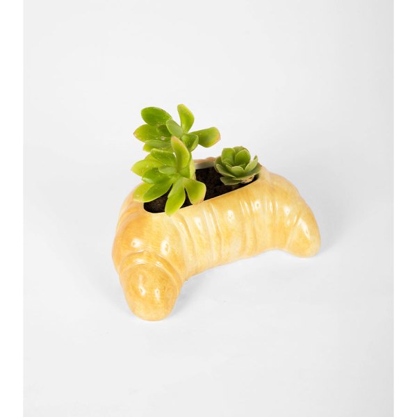 Pot de fleurs en forme de croissant avec une plante grasse