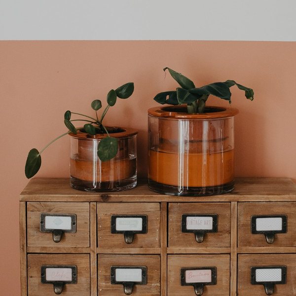 Deux pots en céramique à réservoir avec plantes vertes posés sur une commode à tiroirs